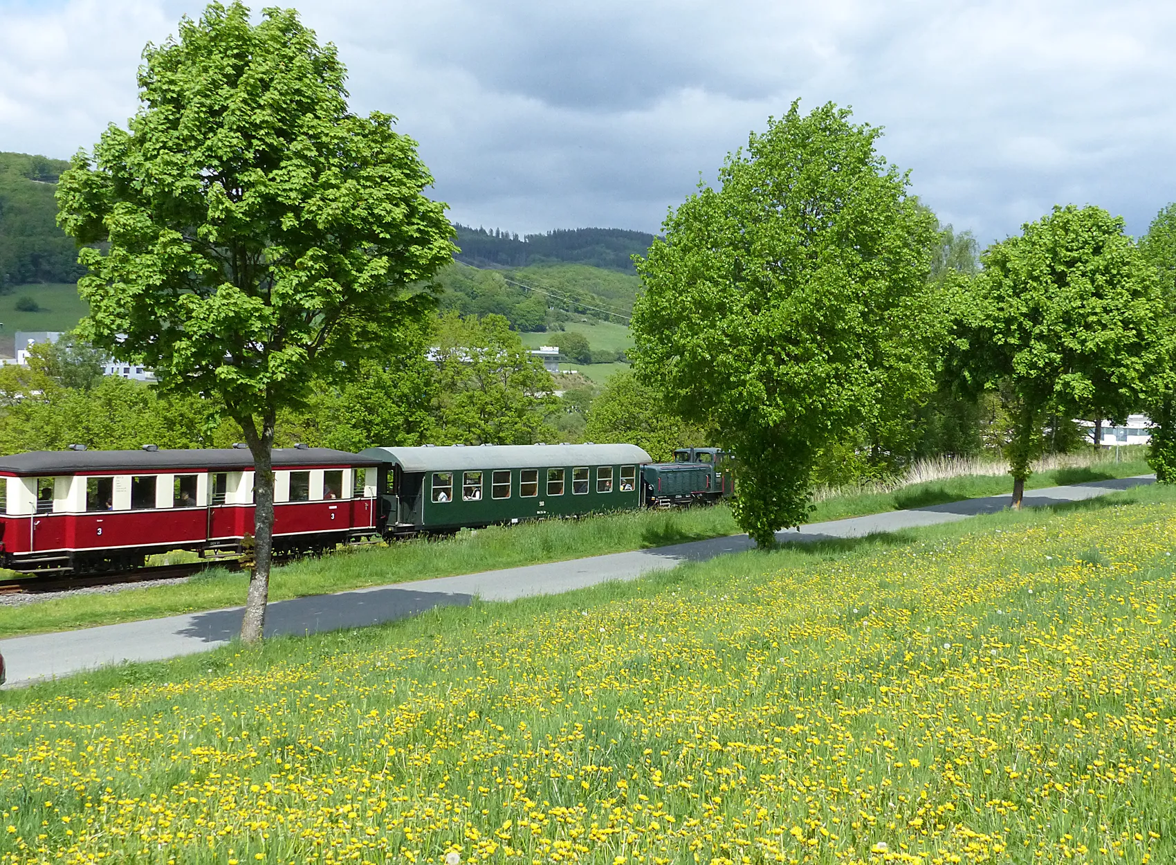 Ein roter und ein grüner Waggon einer Museumseisenbahn fahren an einem Weg und einer Wiese mit gelben Blumen vorbei. Im Hintergrund sind bewaldete Hügel zu sehen.
