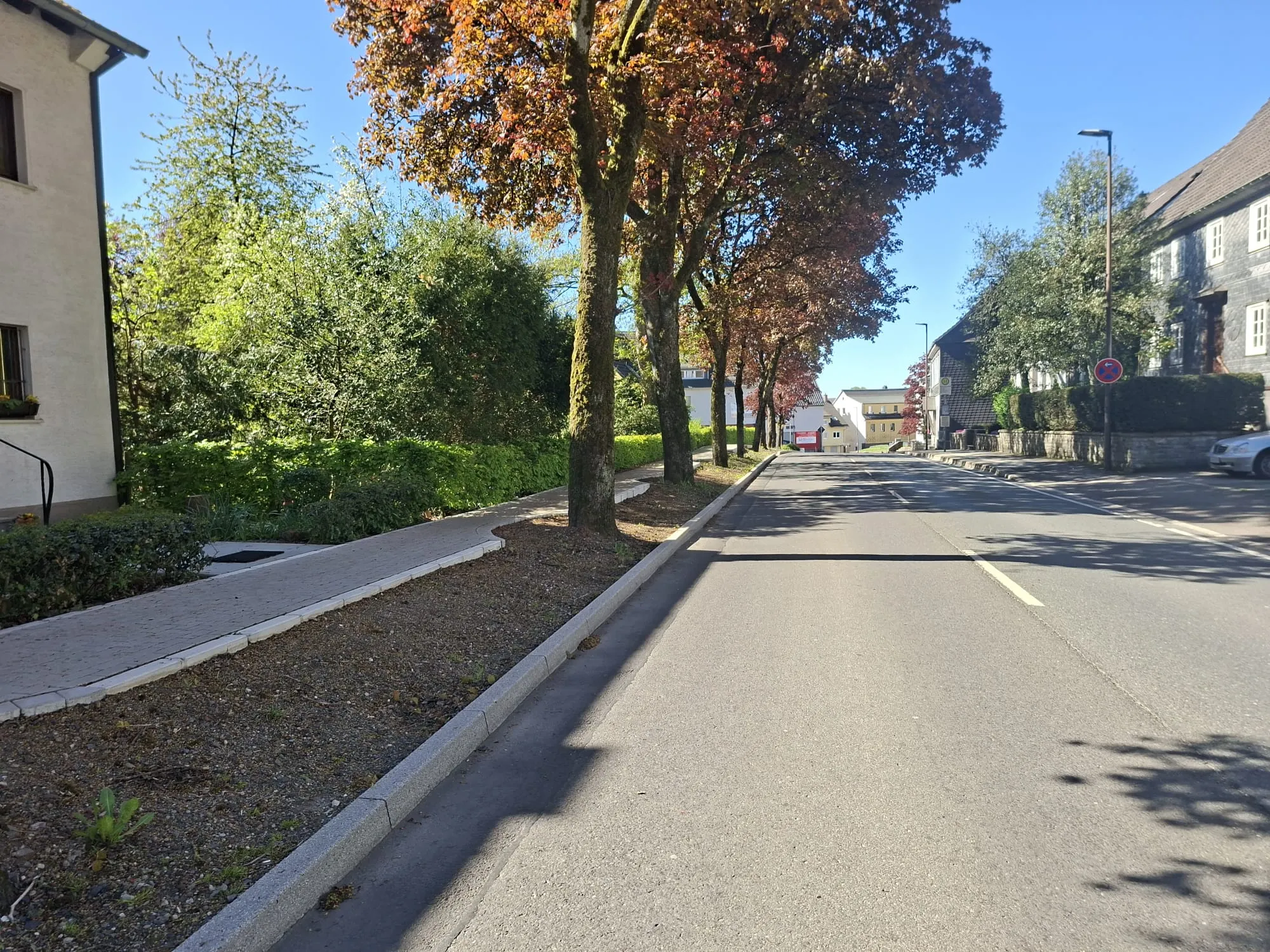 Blick auf eine sonnige Straße mit Bäumen, deren Baumkronen bereits im Herbstlaub leuchten. Am Straßenrand ein Gehweg und im Hintergrund Gebäude.