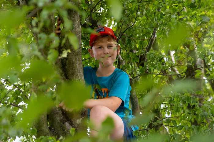 Ein lächelnder Junge mit roter Kappe und blauem T-Shirt sitzt in einem Baum inmitten grüner Blätter.