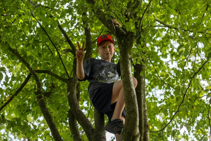 Ein Junge mit roter Kappe sitzt in den Ästen eines Laubbaums und zeigt ein Peace-Zeichen.