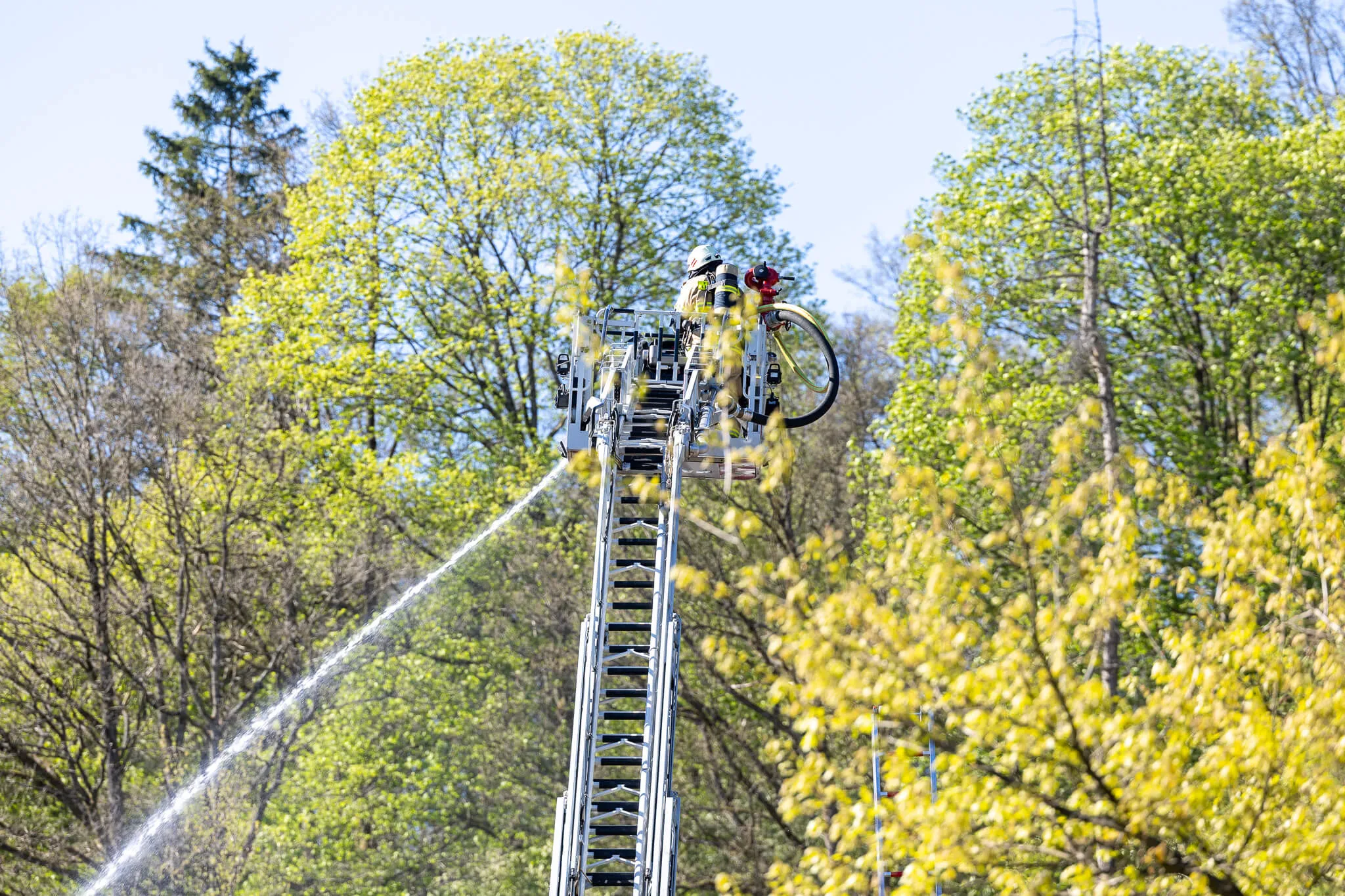 Ein Feuerwehrauto mit ausgefahrener Leiter löscht ein Feuer in den Baumwipfeln. Im Hintergrund sind weitere Bäume und ein blauer Himmel zu sehen.