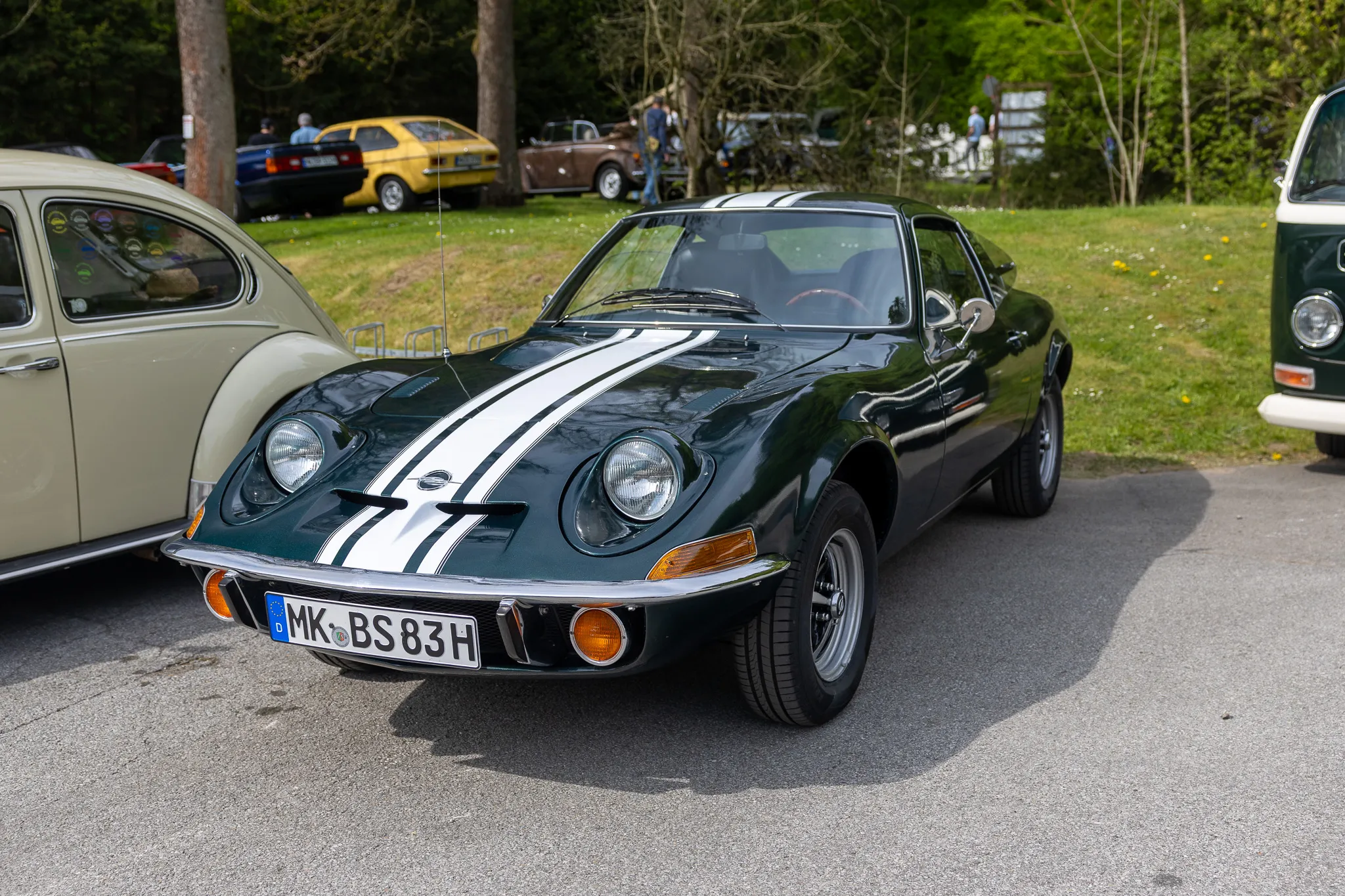 Dunkelgrüner Alpine A110 mit weißen Streifen steht auf einer Wiese vor anderen Oldtimern.