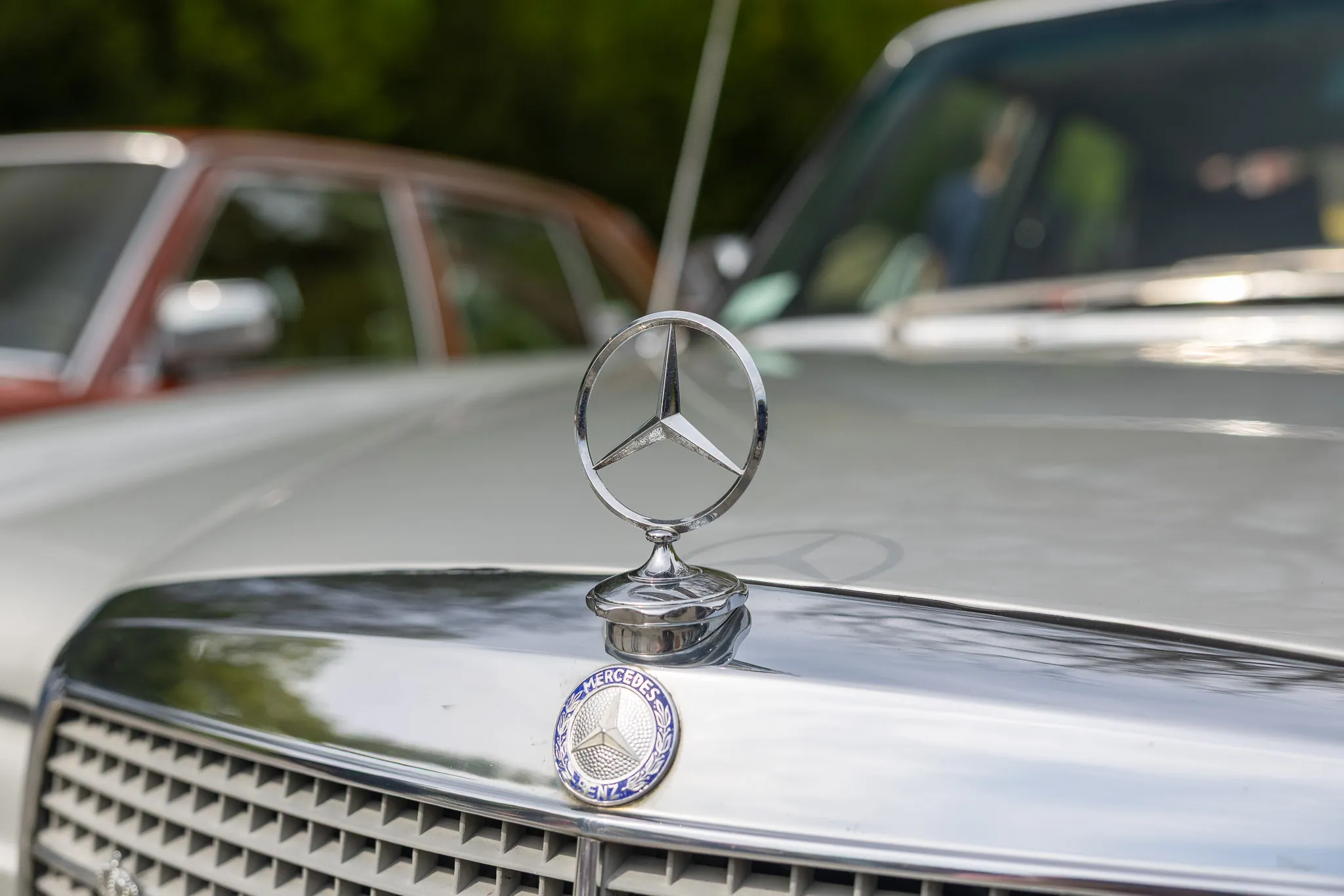 Chromglänzendes Mercedes-Stern-Emblem auf der Motorhaube eines Oldtimers, im Hintergrund weitere historische Fahrzeuge.