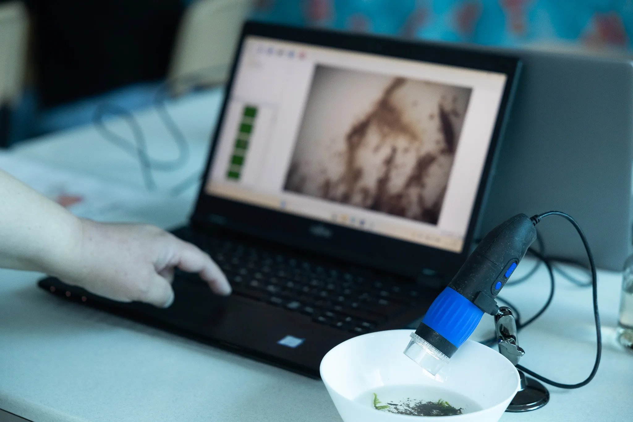 Laptop zeigt ein vergrößertes Bild von Pflanzen, während eine Hand die Tastatur bedient. Daneben steht ein Mikroskop und eine Schale mit Pflanzenmaterial.