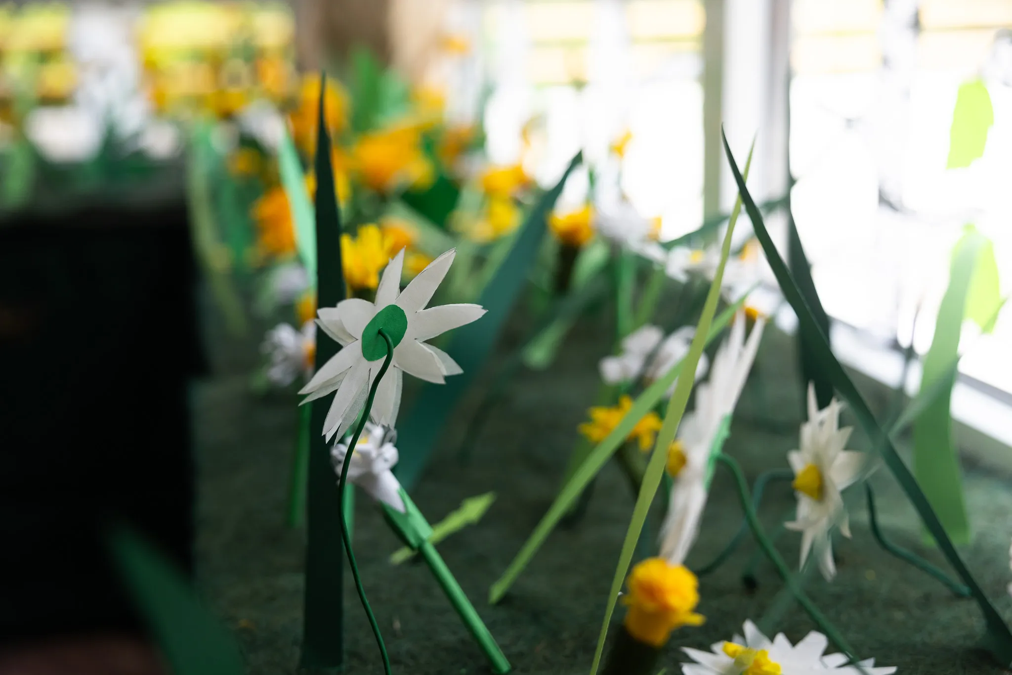 Papierblumen in Weiß und Gelb stehen für das Jubiläum der Schule an der Höh.