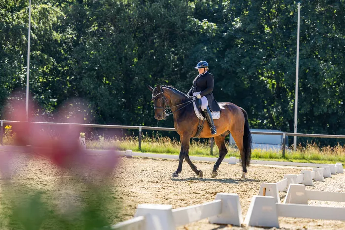 Eine Reiterin in schwarzer Kleidung und Helm reitet ein braunes Pferd auf einem sandfarbenen Dressurplatz. Im Hintergrund sind Bäume und weiße Hindernisse zu sehen.