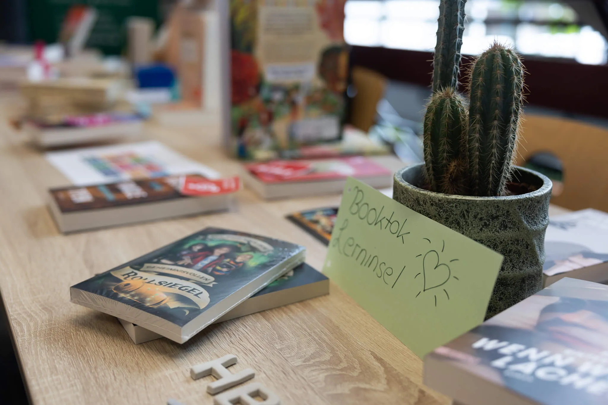 Ein Kakteen in einem Topf steht vor gestapelten Büchern auf einem Holztisch, im Hintergrund weitere Bücher und eine Tafel.