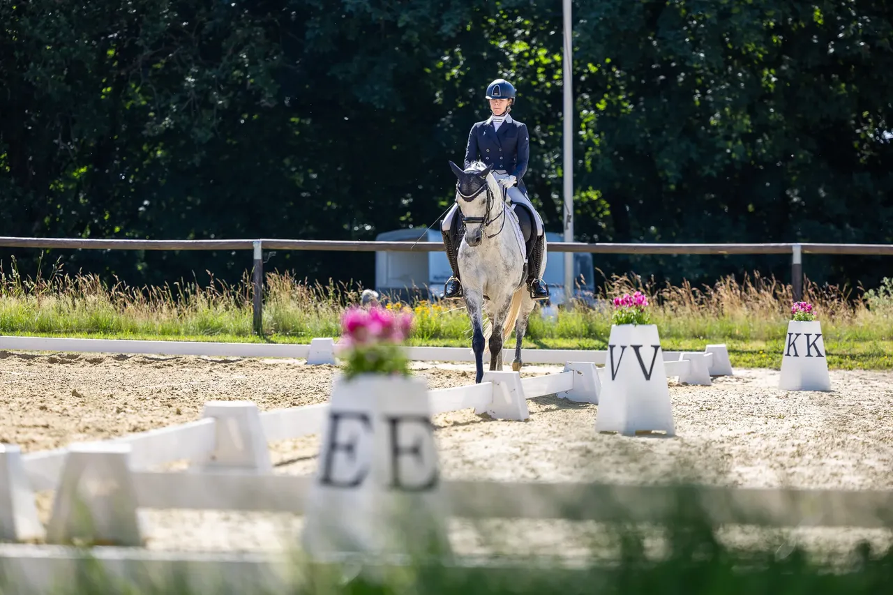 Eine Reiterin in dunkler Jacke und Helm sitzt auf einem grauen Pferd und springt über ein Hindernis auf einem Reitplatz. Im Hintergrund sind weitere Hindernisse und Bäume zu sehen.