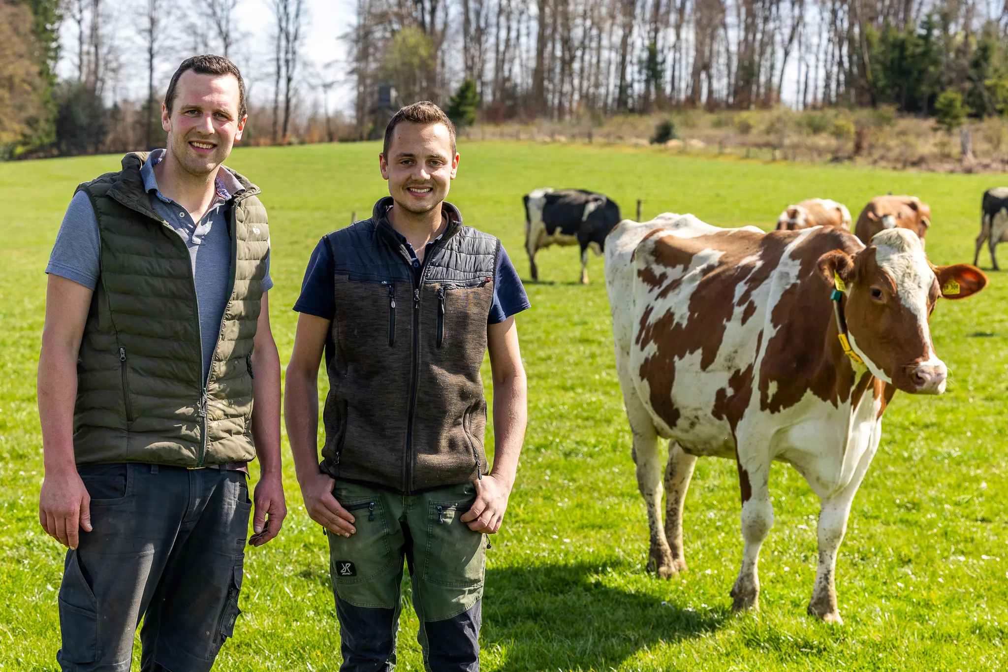 Zwei junge Männer stehen auf einer grünen Wiese neben einer rot-weiß gefleckten Kuh und weiteren Kühen im Hintergrund.