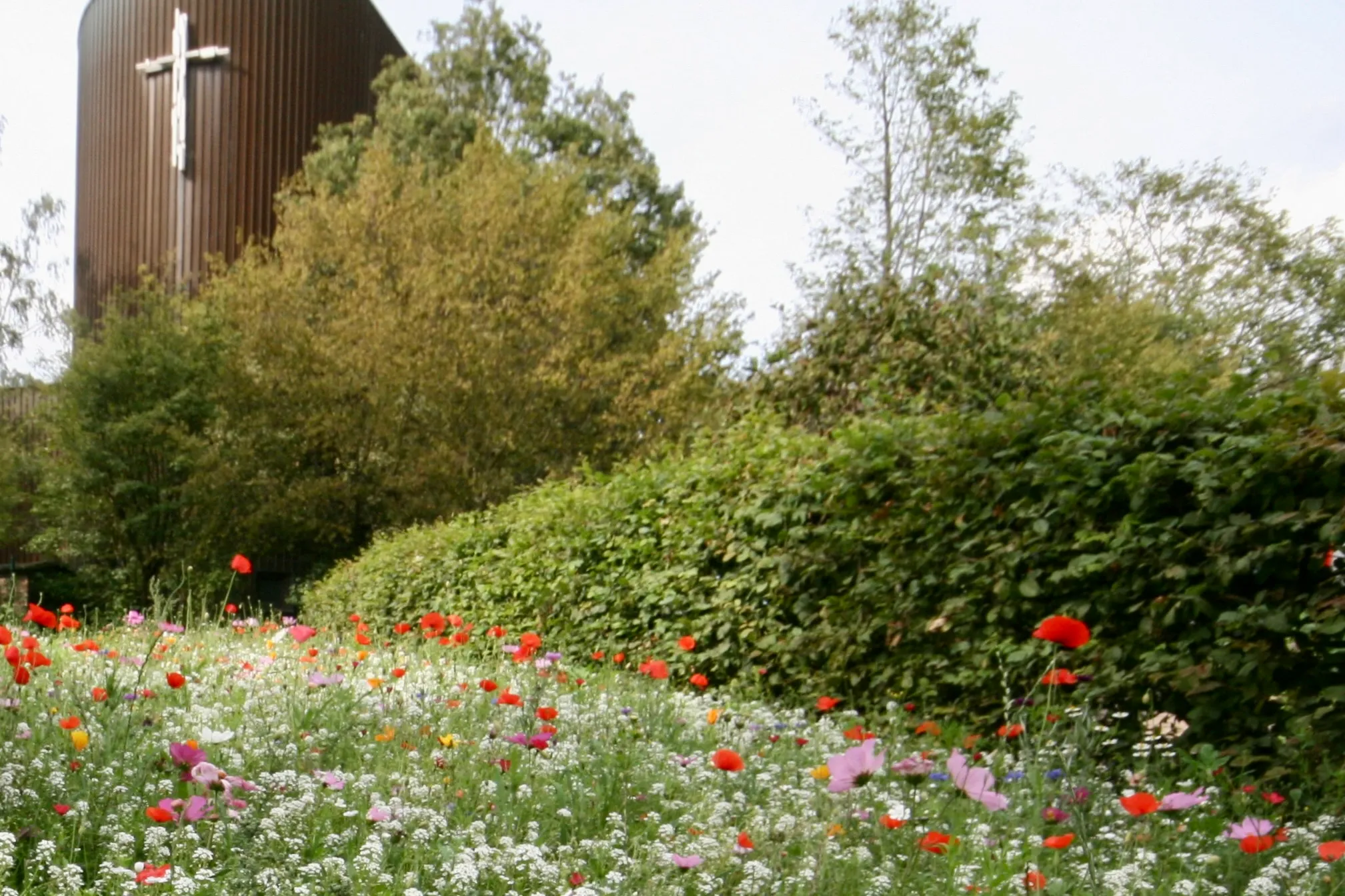 Blühende Wildblumenwiese im Vordergrund, im Hintergrund ein Kirchturm mit Kreuz.