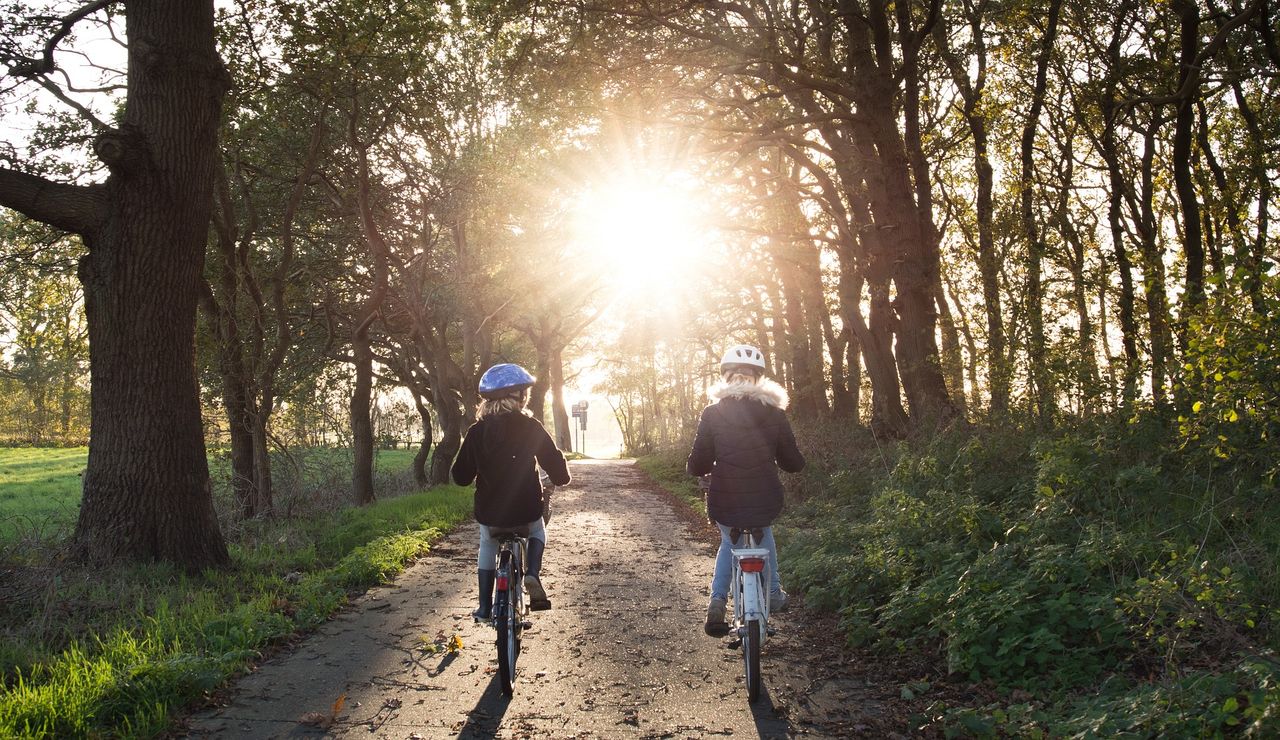 Zwei Kinder mit Helmen fahren auf einem Waldweg nebeneinander in Richtung hell leuchtender Sonne.