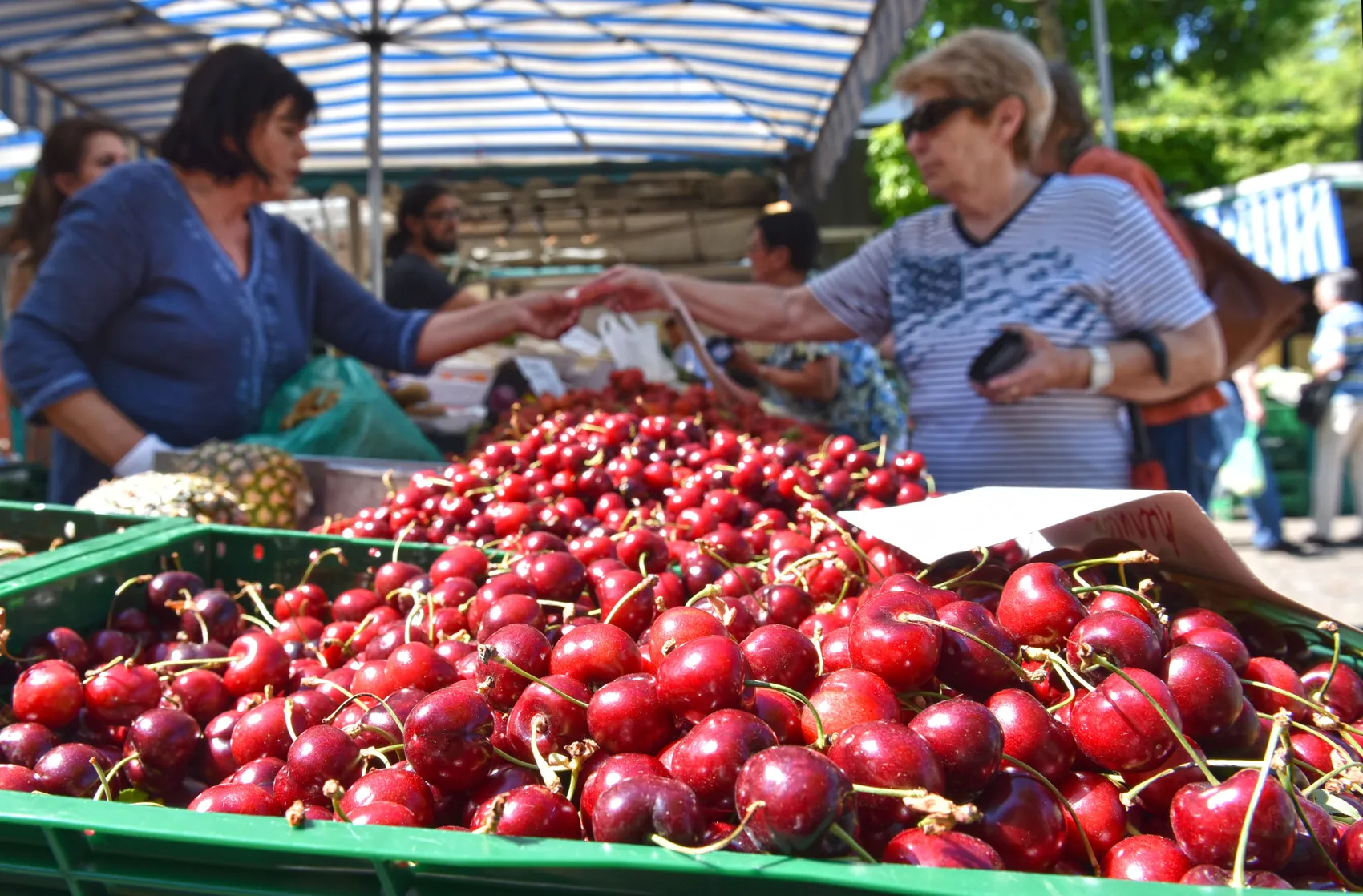 Ein Korb voller roter Kirschen im Vordergrund, dahinter zwei Frauen an einem Obststand unter einem blauen Sonnenschirm.