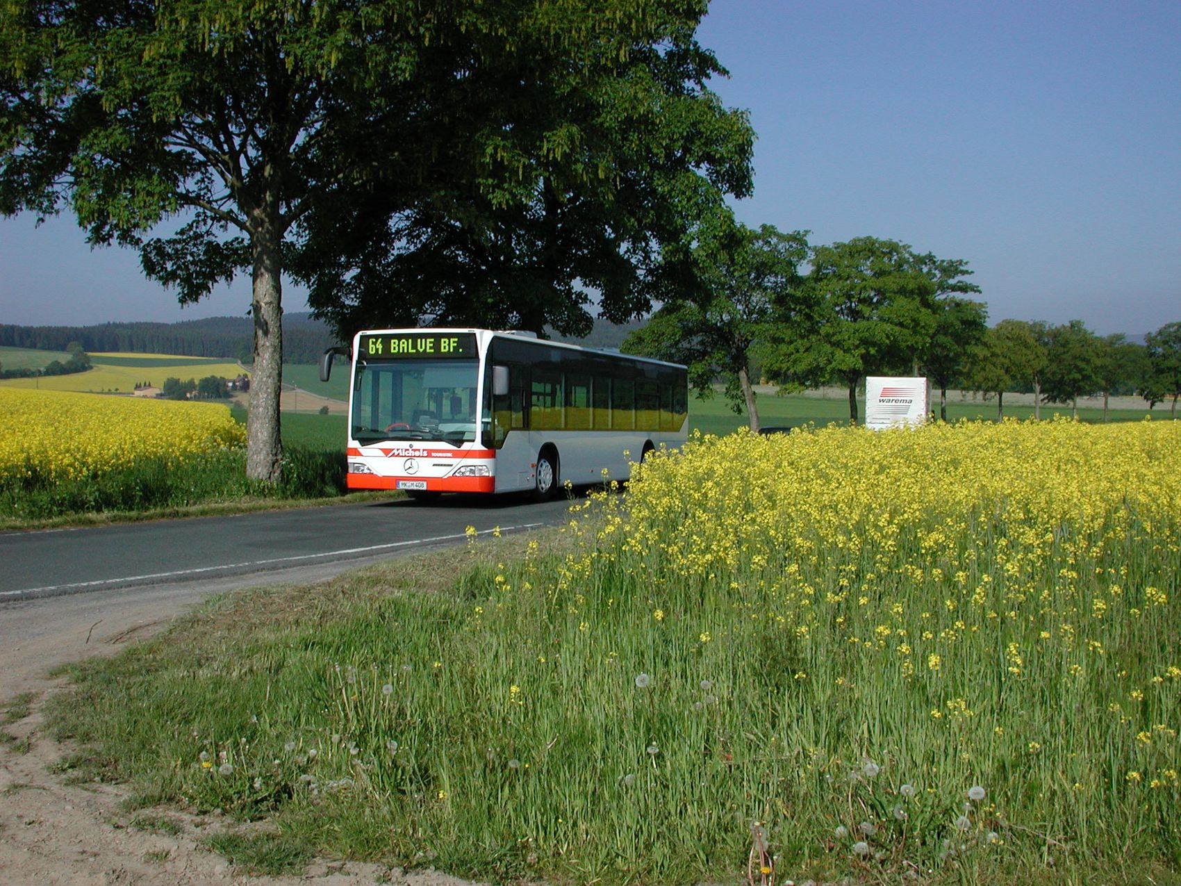 Ein weißer Bus mit der Zielanzeige „64 BALVE BF.“ fährt auf einer Straße durch ein gelbes Rapsfeld.