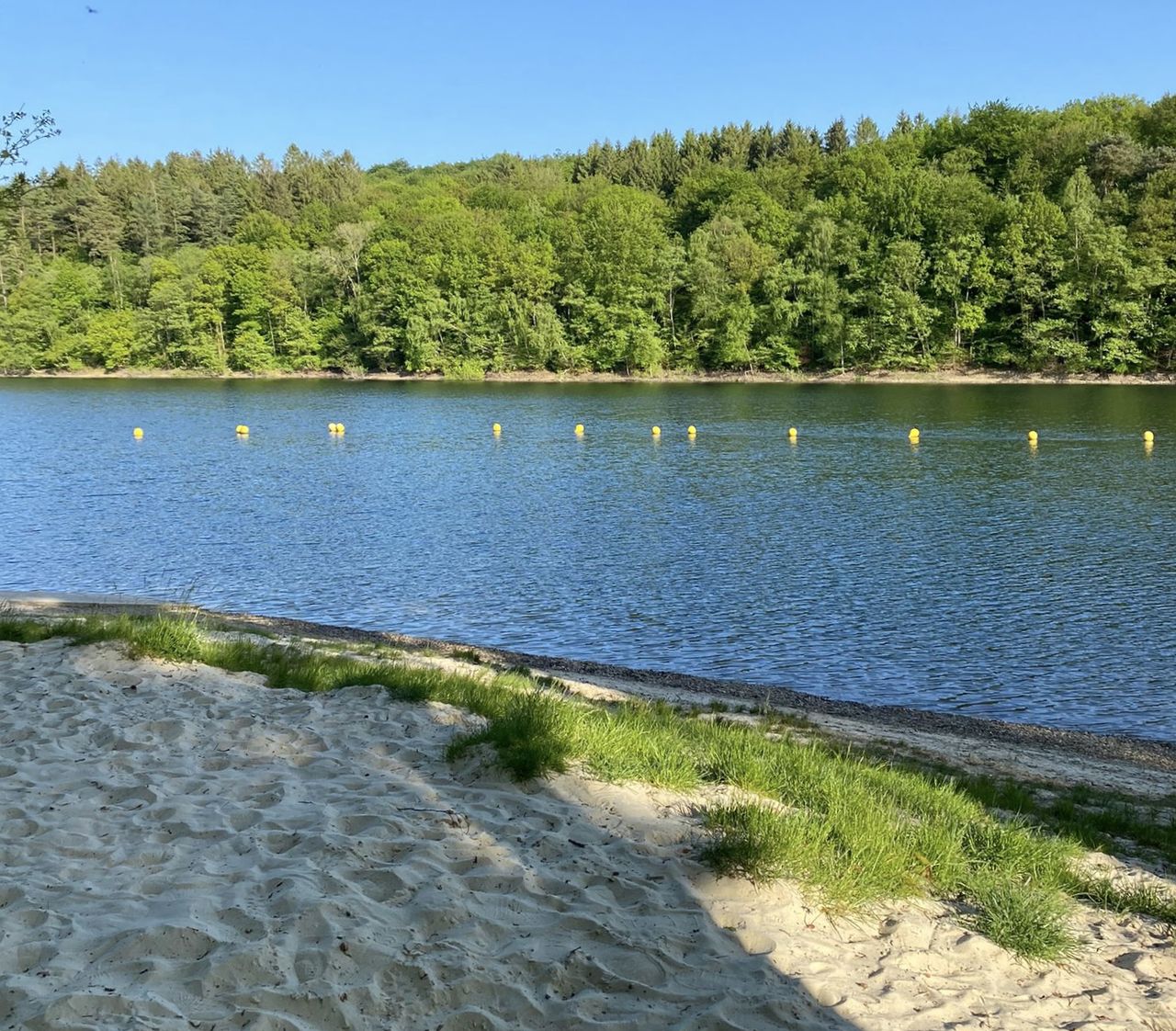 Blick über die Glörtalsperre mit gelben Bojen im Wasser und einem sandigen Uferbereich im Vordergrund, umgeben von Bäumen.