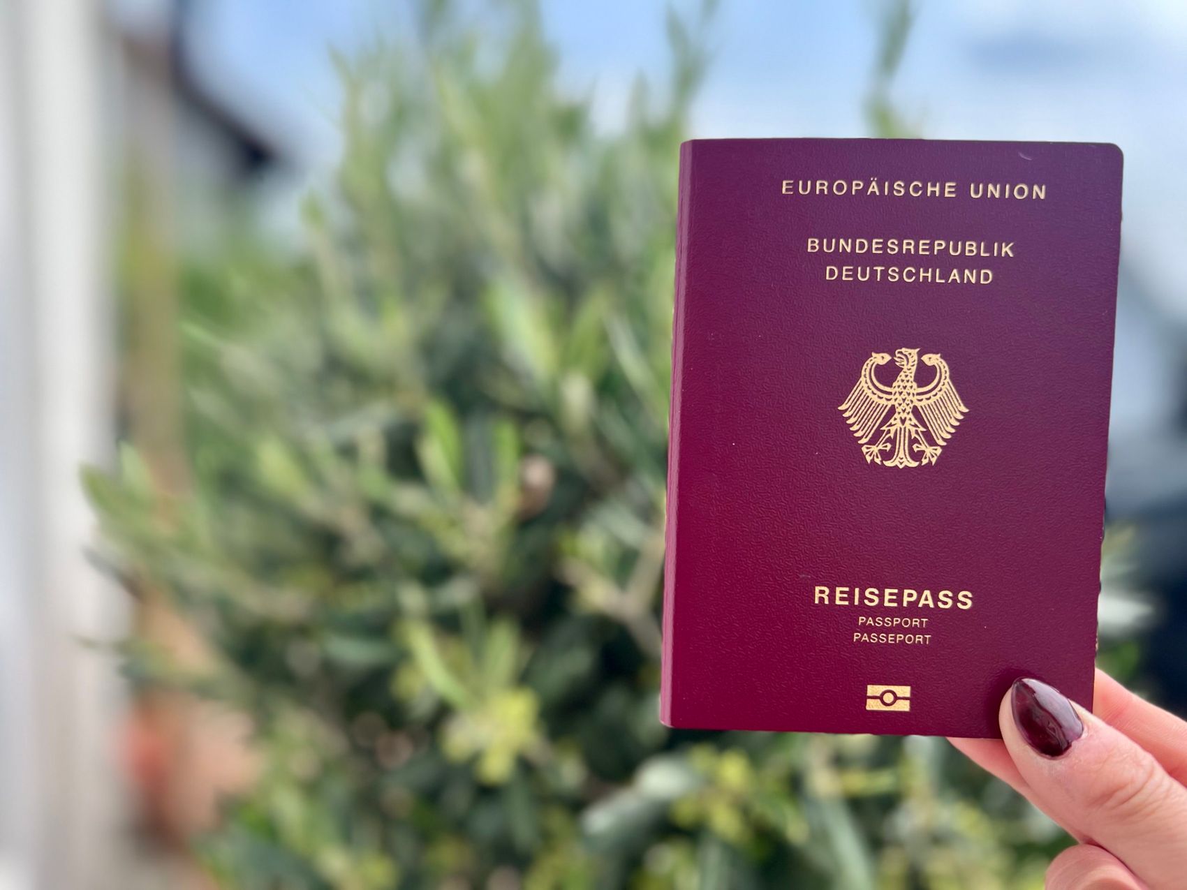 Roter Reisepass der Bundesrepublik Deutschland mit dem deutschen Adler auf dem Einband, gehalten in einer Hand vor grünem Hintergrund.