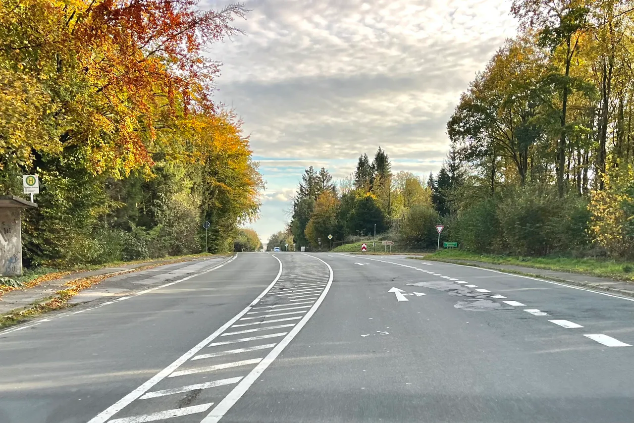 Die kurvige L528 in Breckerfeld wird von Bäumen mit herbstlichem Laub gesäumt.