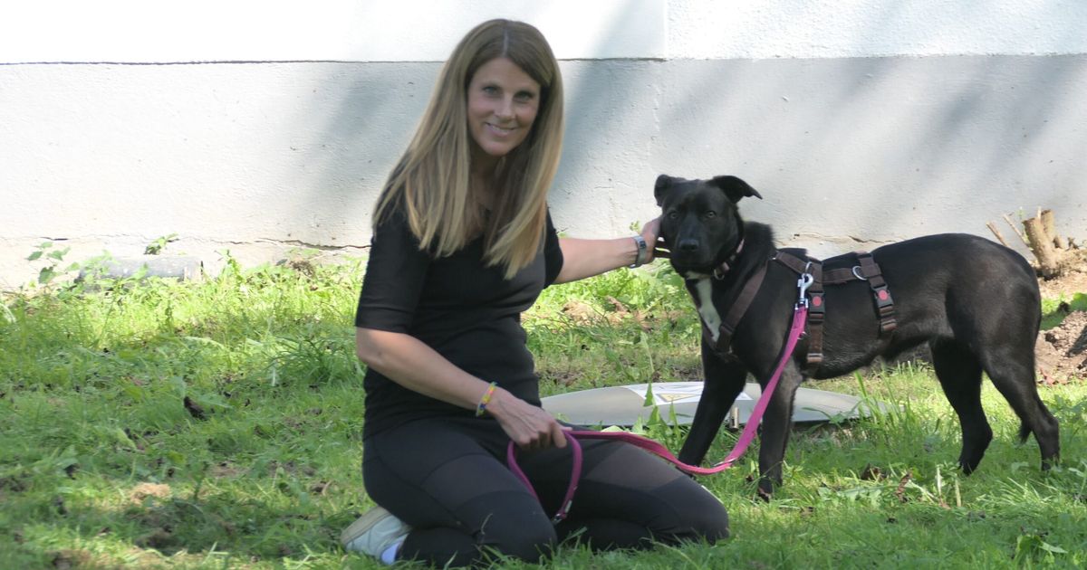 Serie Ehrenamt (3): Gassigehen hilft der Seele von Mensch und Tier ...