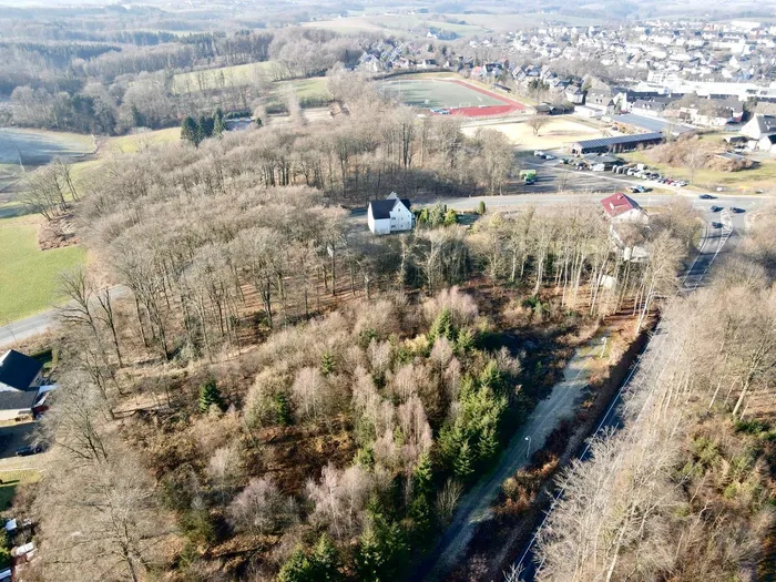 Ein Luftbild zeigt ein Wohngebiet mit einem Sportplatz und einem Waldstück. Im Zentrum steht ein helles Gebäude, vermutlich die Skateranlage, umgeben von Bäumen. Eine Straße führt am Waldrand entlang.