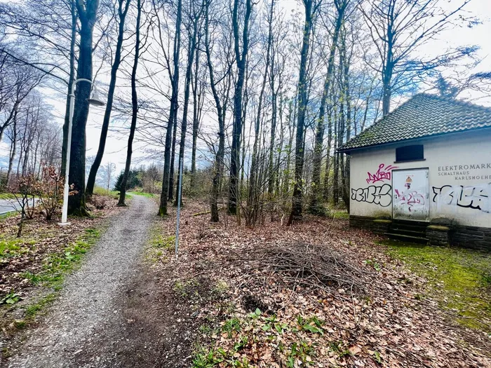 Ein Pfad führt durch einen Wald zu einem grauen Gebäude mit Graffiti und dem Schriftzug „Elektromarktkaufhaus Karlsruhe“. Im Hintergrund sind weitere Bäume und ein bewölkter Himmel zu sehen.