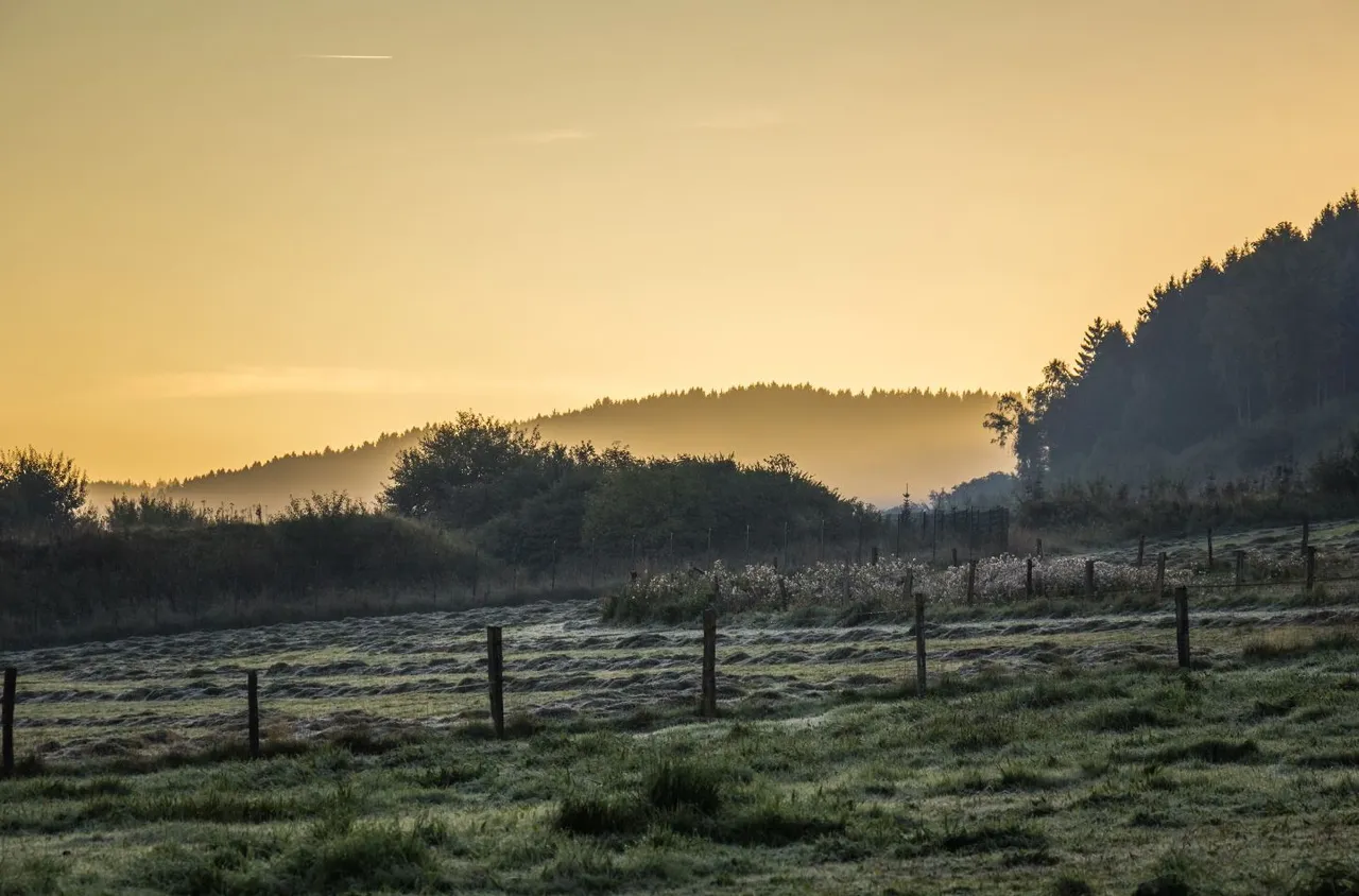 Eine Landschaft mit Wiesen, Feldern und Wald unter einem goldenen Himmel bei Sonnenaufgang oder Sonnenuntergang.