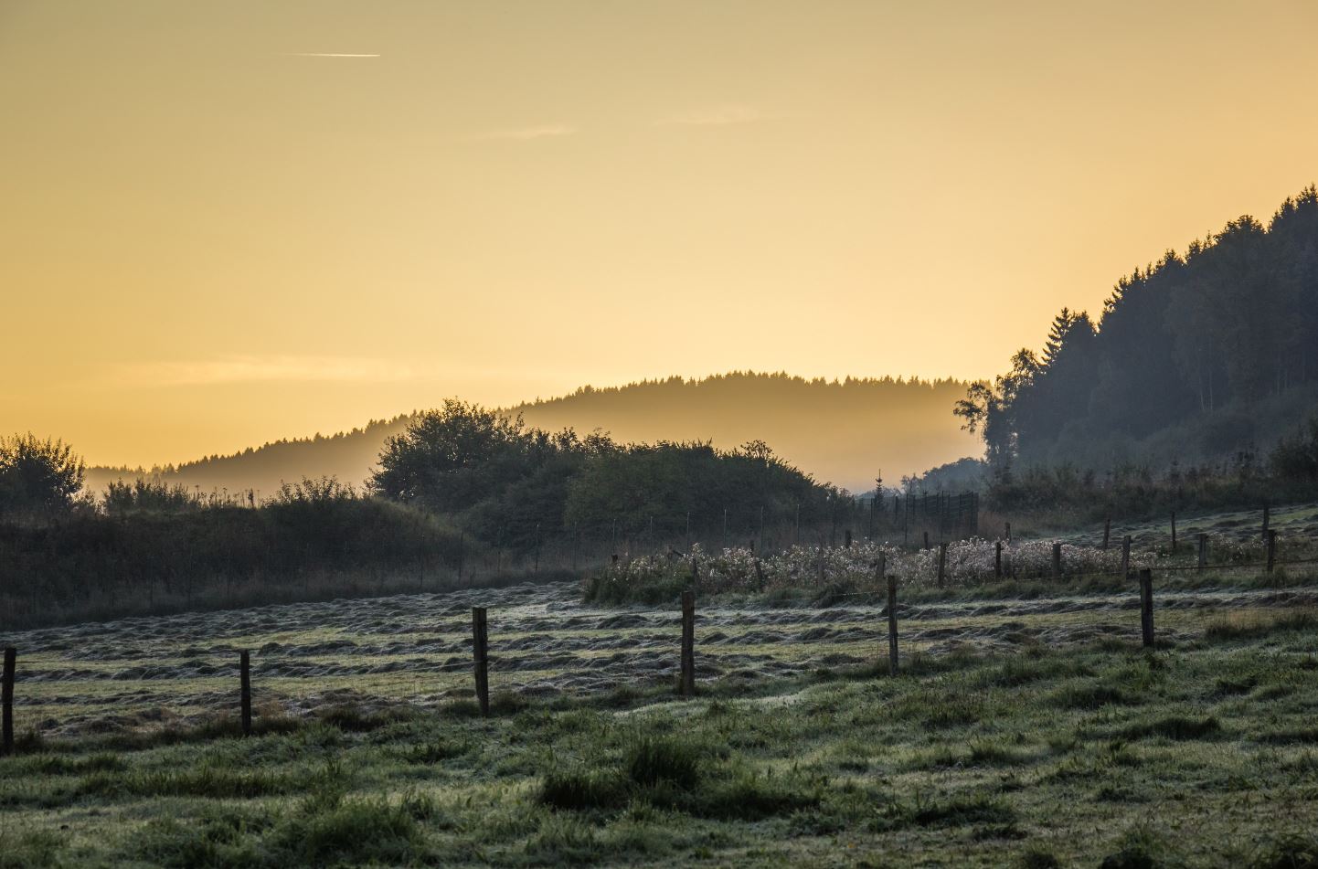 Eine Landschaft mit Wiesen, Feldern und Wald unter einem goldenen Himmel bei Sonnenaufgang oder Sonnenuntergang.