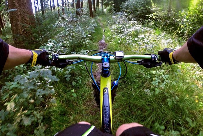 thule yepp nexxt mini mountainbike Nexxt2 Child Bike Seat DER ROLAND Fahrradanhänger mit 206020201 Blau:Polizei The Yepp Nexxt 2