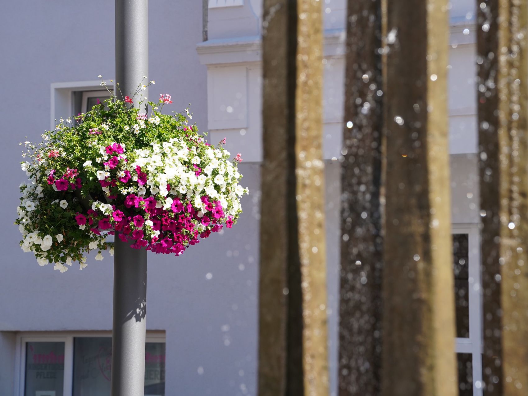 Blumenampel mit rosa und weißen Blüten an einem grauen Mast vor einem unscharfen Hintergrund mit Wasserfontänen.
