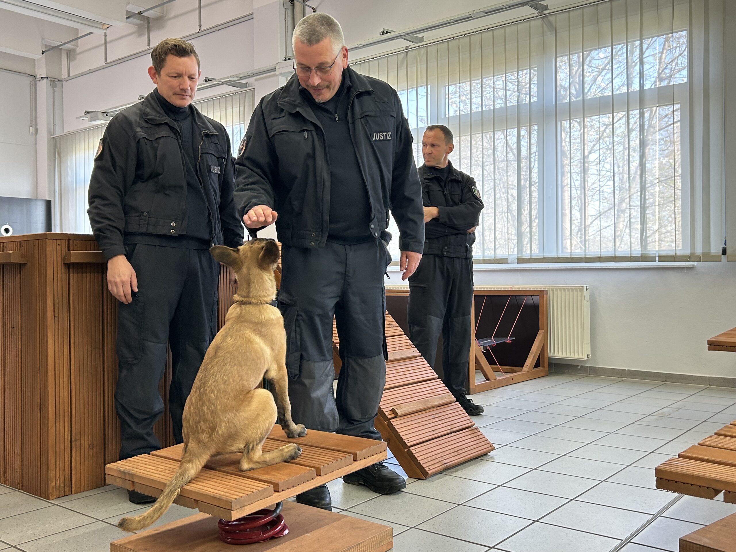 Kommissar Sp rnase Ein Blick Hinter Die Kulissen Der Kommissar Sp rnase Ein Blick Hinter Die Kulissen Der