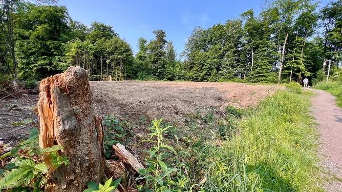 Eine große Freifläche mit aufgewühlter Erde wird von Bäumen und Büschen gesäumt. Im Hintergrund ist eine Person auf einem Weg zu sehen. Im Vordergrund steht ein Baumstumpf.