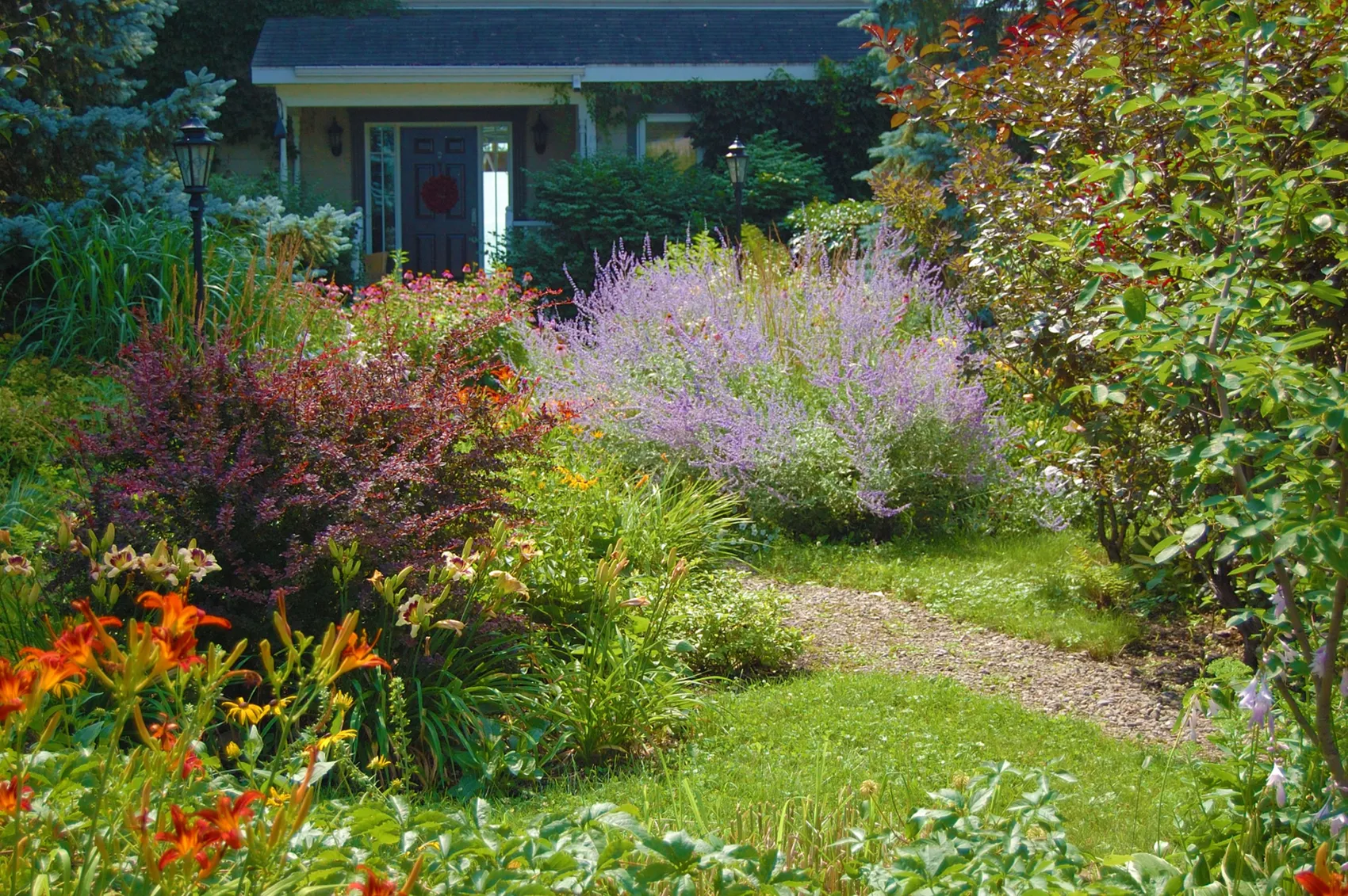 Blühender Vorgarten mit Pfad, der zu einem kleinen Haus führt. Verschiedene Blumen und Sträucher in Rot-, Lila- und Grüntönen säumen den Weg.