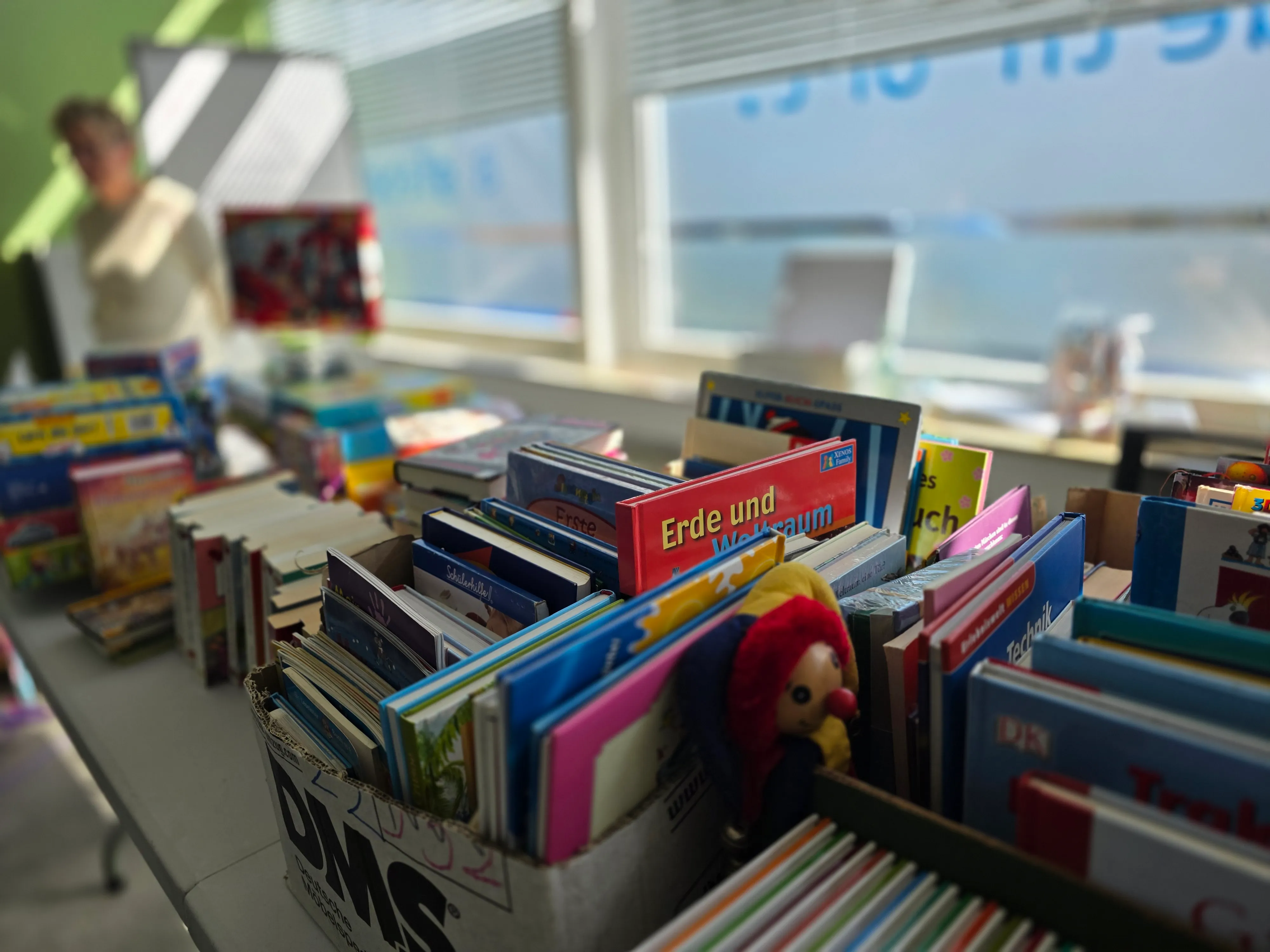 Gestapelte Kinderbücher und Spielzeug in einem Raum, darunter ein rotes Stofftier. Im Hintergrund ein Fenster mit Blick auf eine verschwommene Landschaft.