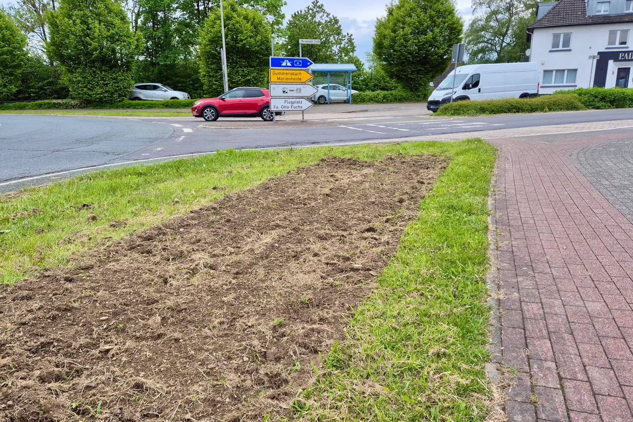 Vorbereitete Fläche für einen Blühstreifen an einem Kreisverkehr mit Verkehrsschildern und vorbeifahrenden Autos.