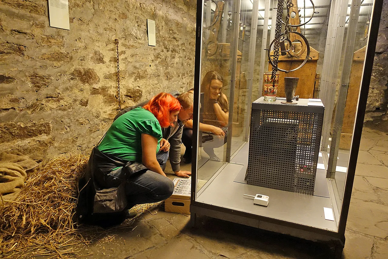 Zwei Personen betrachten ein Exponat in einer Vitrine in einem mittelalterlichen Gewölberaum mit Steinwänden.