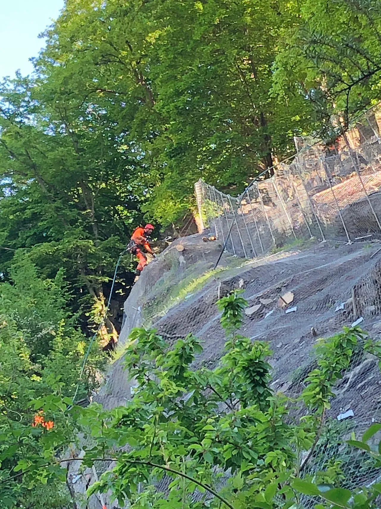 Zwei Personen mit Kletterausrüstung sichern sich an einem steilen Hang unterhalb der Burg Altena, um Bauwerksprüfungen durchzuführen. Ein Schutznetz ist an dem Hang angebracht.