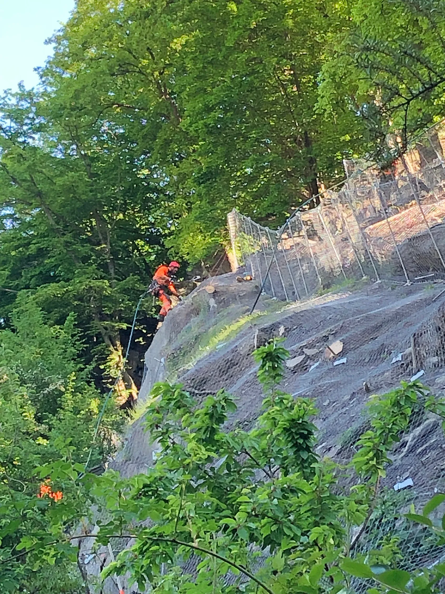 Zwei Personen mit Kletterausrüstung sichern sich an einem steilen Hang unterhalb der Burg Altena, um Bauwerksprüfungen durchzuführen. Ein Schutznetz ist an dem Hang angebracht.