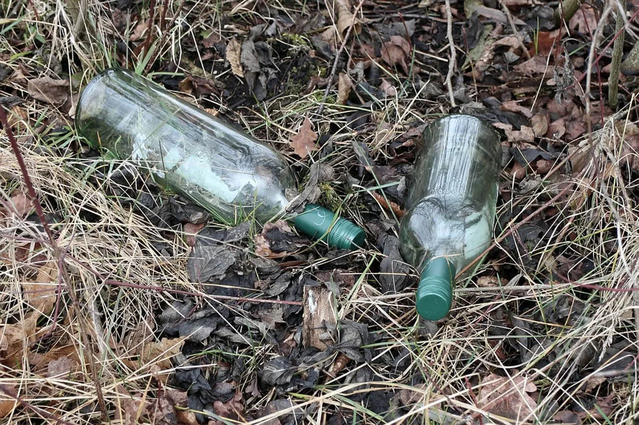 Zwei leere Glasflaschen liegen auf trockenem Laub und Gras am Boden.