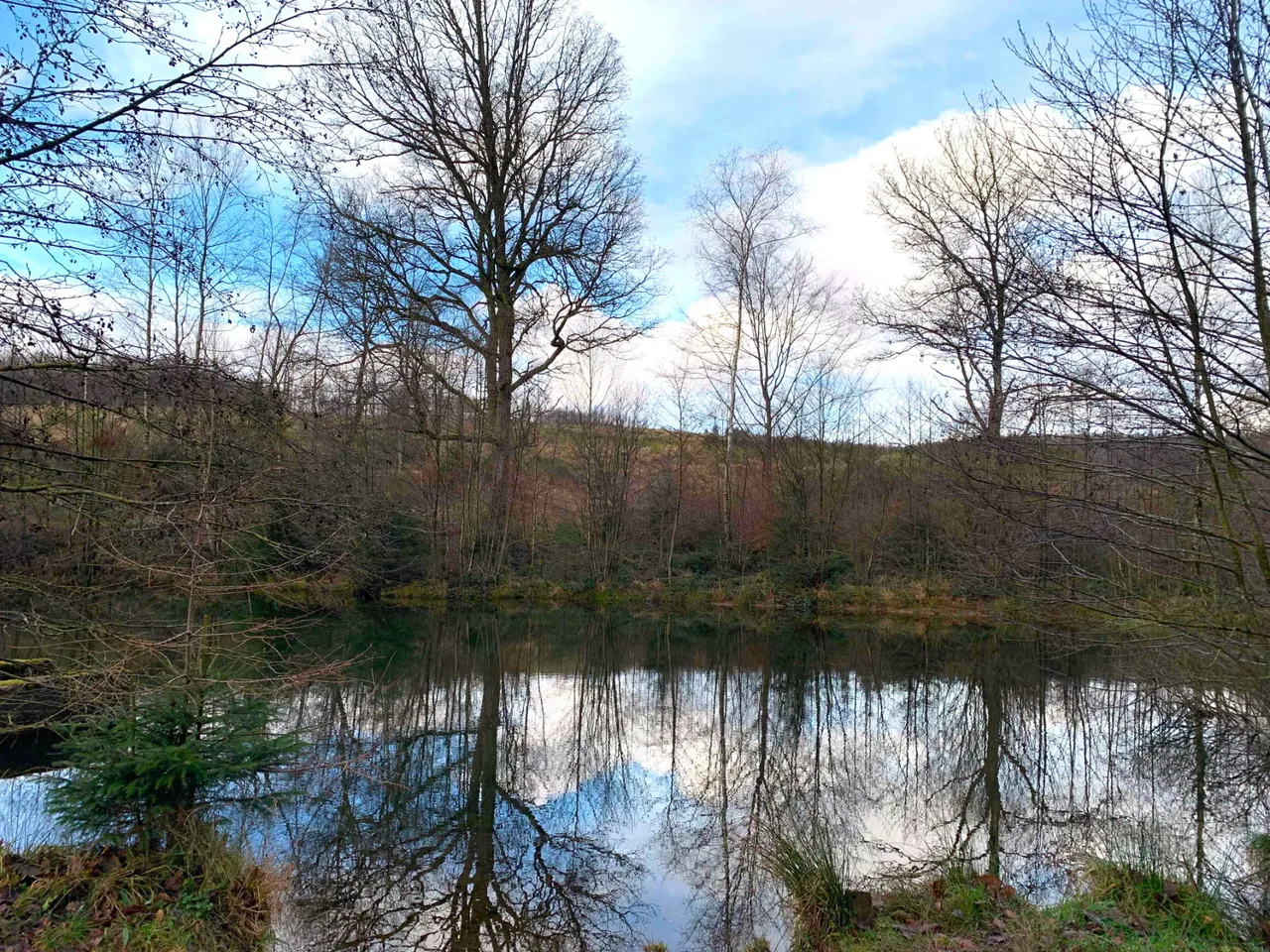 Spiegelung von Bäumen und Wolken in einem stillen Teich im Quellental des Naturparks Sauerland Rothaargebirge.