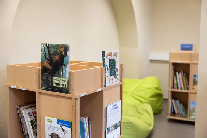 Ein Holzregal mit Kinderbüchern über Dinosaurier in einem Raum mit grünen Sitzsäcken.