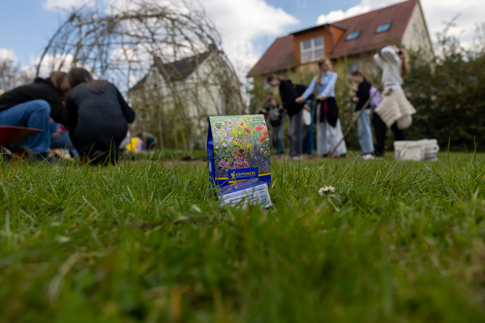 Im Vordergrund eine Packung Klee-Saatgut auf grünem Rasen, im Hintergrund Schüler und Lehrer bei einer Aktion im Schulgarten.