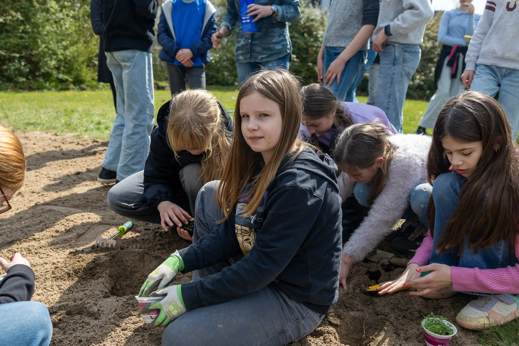 Mehrere Schülerinnen pflanzen im Freien Setzlinge in die Erde, während andere zusehen. Im Hintergrund steht eine Gruppe weiterer Schüler.