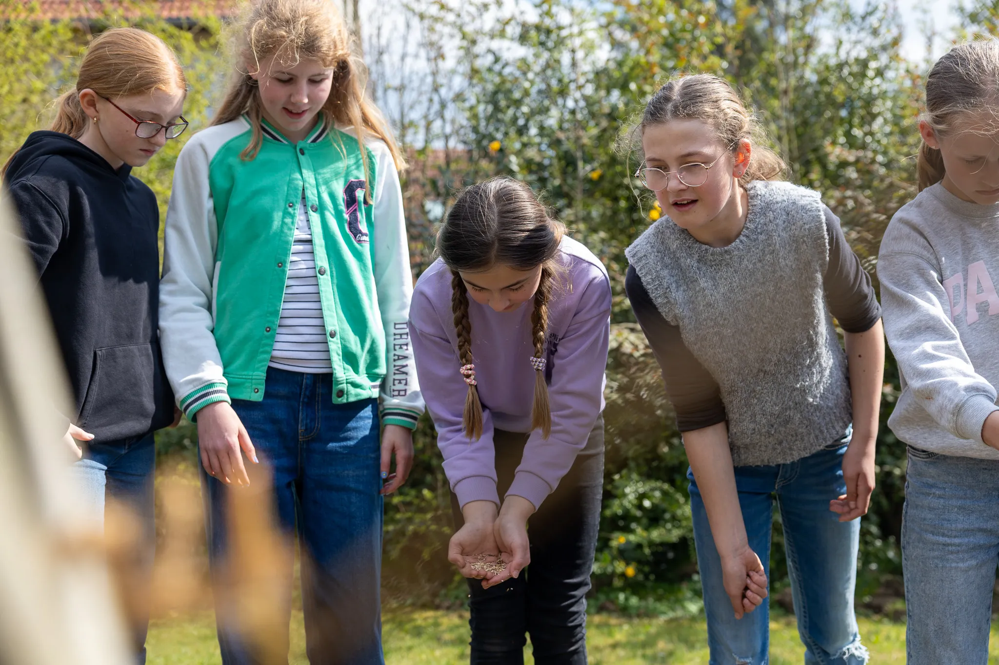 Fünf Jugendliche streuen Vogelfutter auf eine Wiese. Sie beobachten aufmerksam, was passiert.