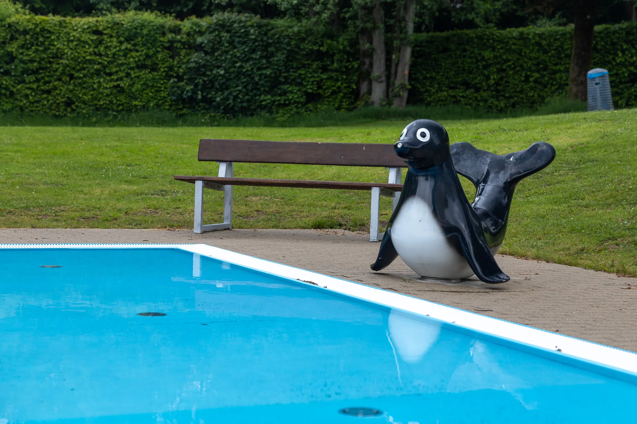 Eine Pinguin-Figur aus Beton steht am Beckenrand eines blauen Schwimmbads, im Hintergrund eine Parkbank und grüße Flächen.