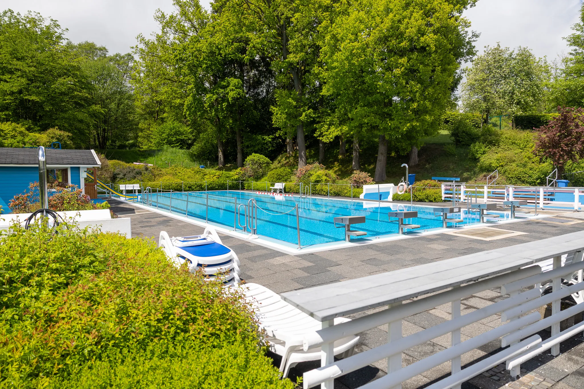 Ein rechteckiges Schwimmbecken mit blauen Fliesen und Leitern, umgeben von einem gepflasterten Bereich und Liegestühlen. Im Hintergrund Bäume und ein blaues Gebäude.