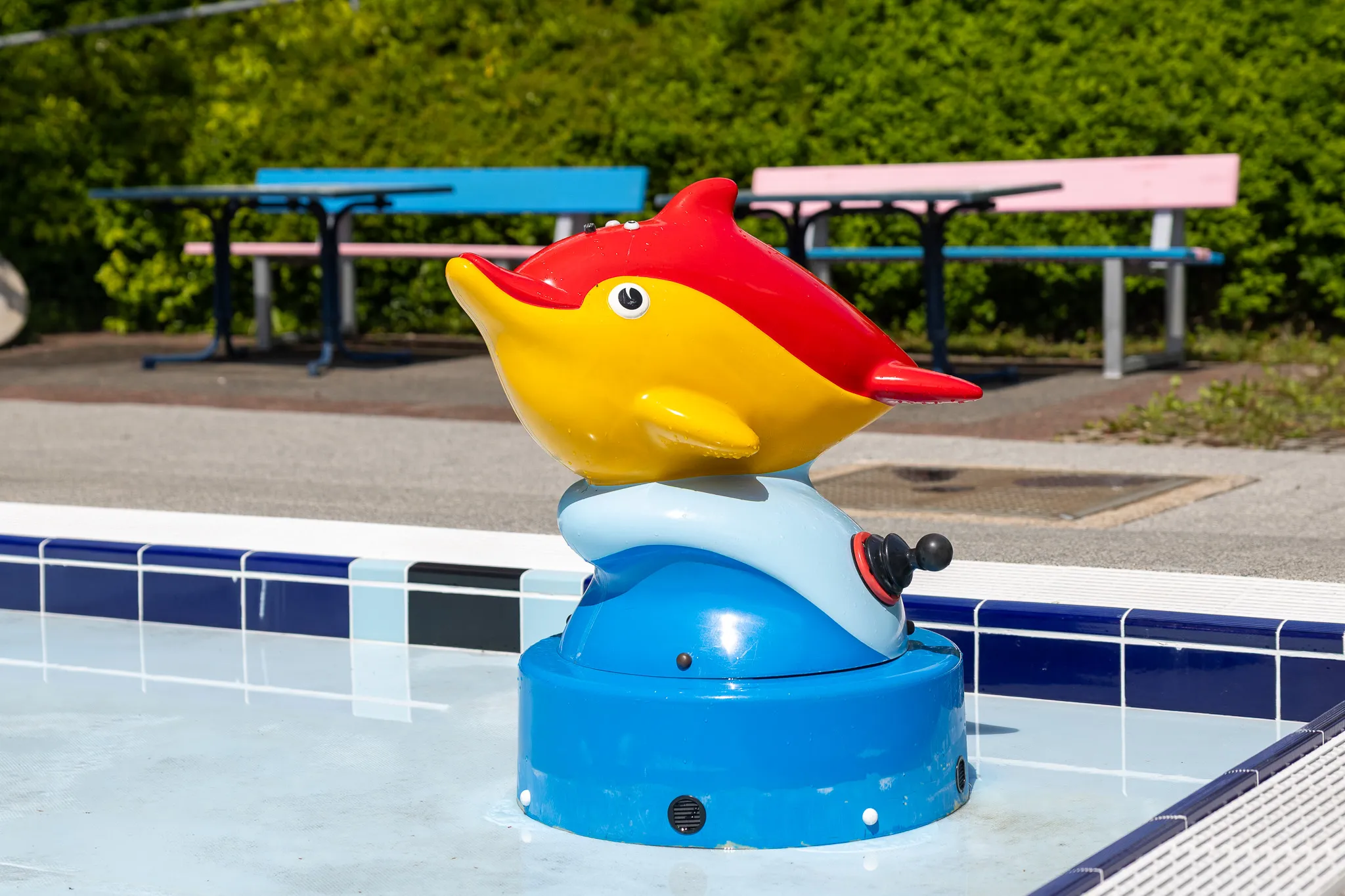 Bunter Delfin-Springbrunnen im Becken eines Freibads, im Hintergrund Picknicktische und Grünflächen.
