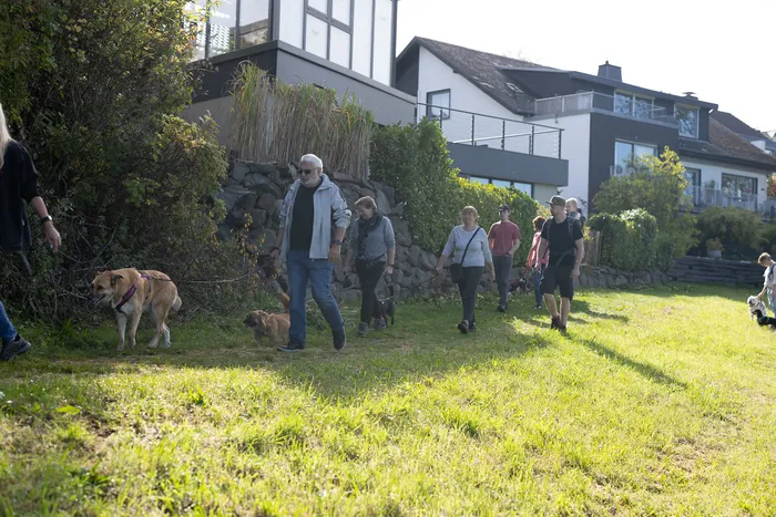 Eine Gruppe von Menschen geht mit Hunden bei einer Herbstwanderung über eine sonnige Wiese vor Wohnhäusern.