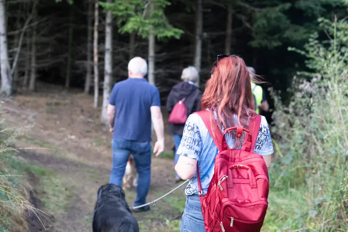 Menschen auf einer Herbstwanderung durch einen Waldweg, im Vordergrund eine Frau mit rotem Rucksack und ein schwarzer Hund an der Leine.