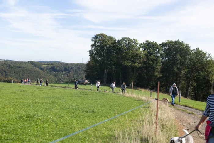 Menschen mit Hunden wandern auf einem Pfad durch eine grüne Wiese und eine hügelige Landschaft.