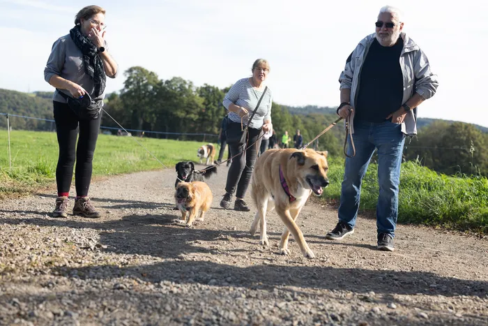 Teilnehmer der Herbstwanderung des Tierheims Dornbusch führen Hunde an der Leine über einen Schotterweg.