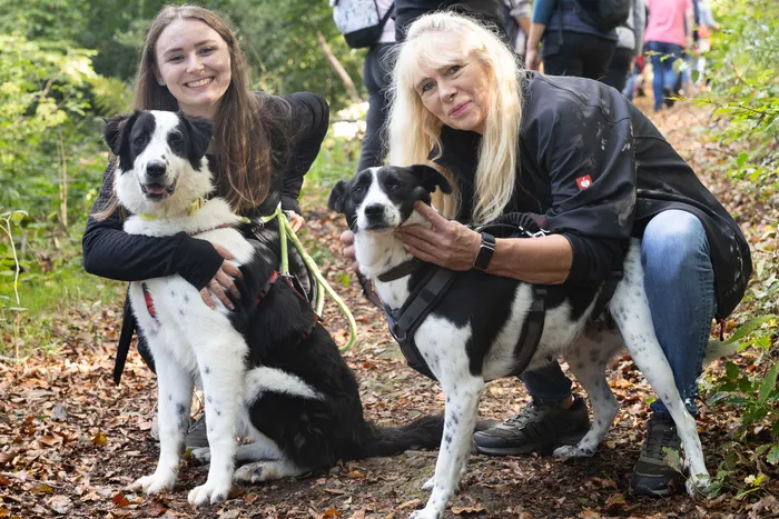 Zwei Frauen posieren mit zwei schwarz-weißen Hunden auf einem herbstlichen Waldweg.