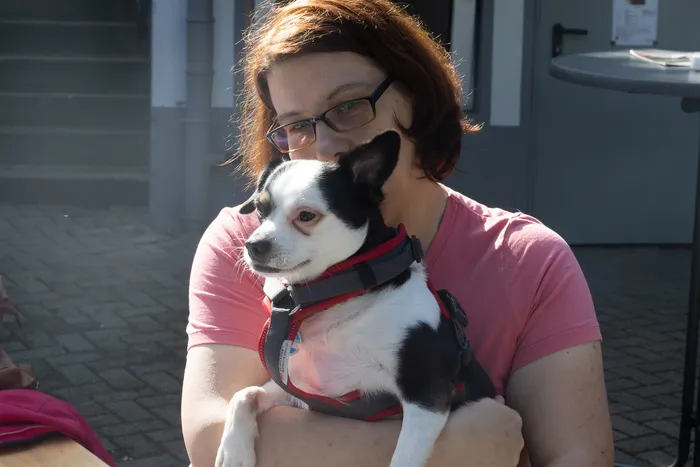 Eine Frau mit Brille hält einen kleinen schwarz-weißen Hund mit rotem Geschirr im Arm.
